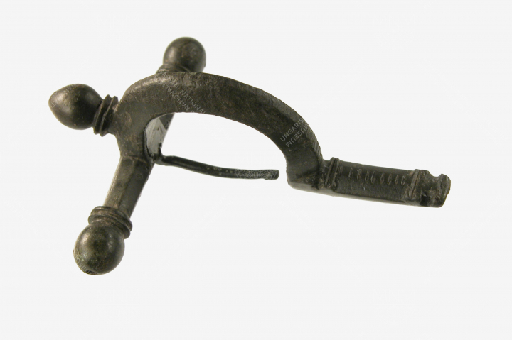 Hagymafejes fibula