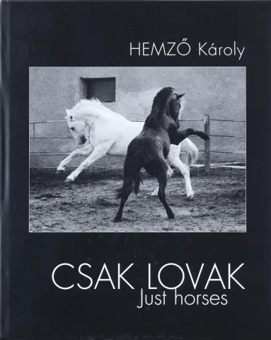 Csak lovak - Just horses