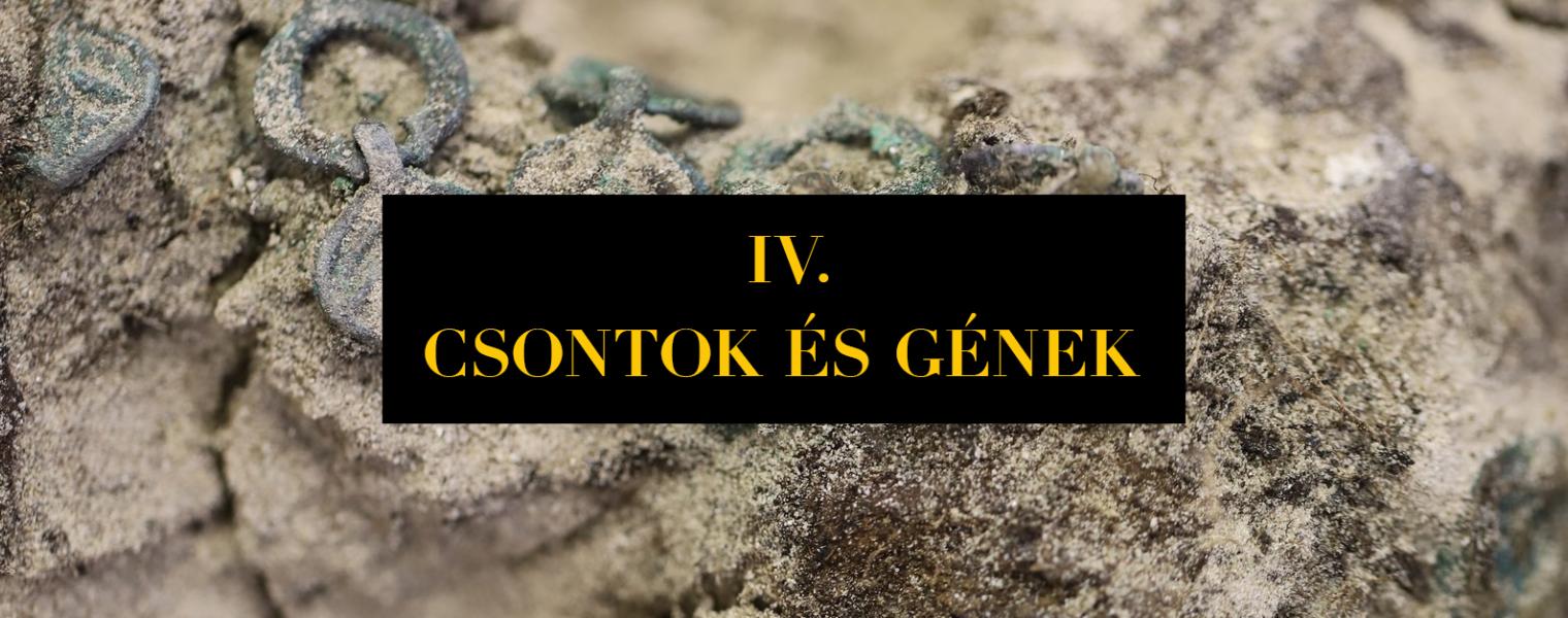 Három harcos 1100 éves emlékezete a Nemzeti Múzeum filmsorozata. Csontok és gének 4. rész