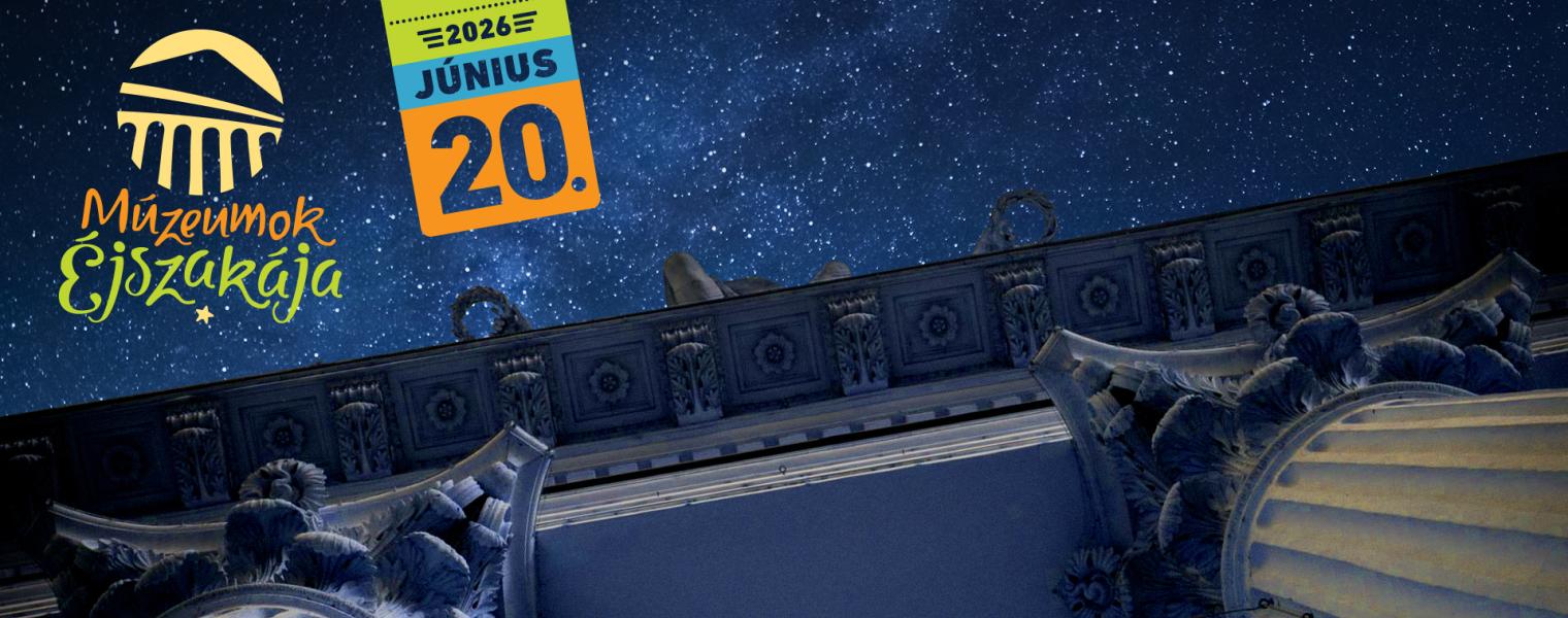 Night of museum