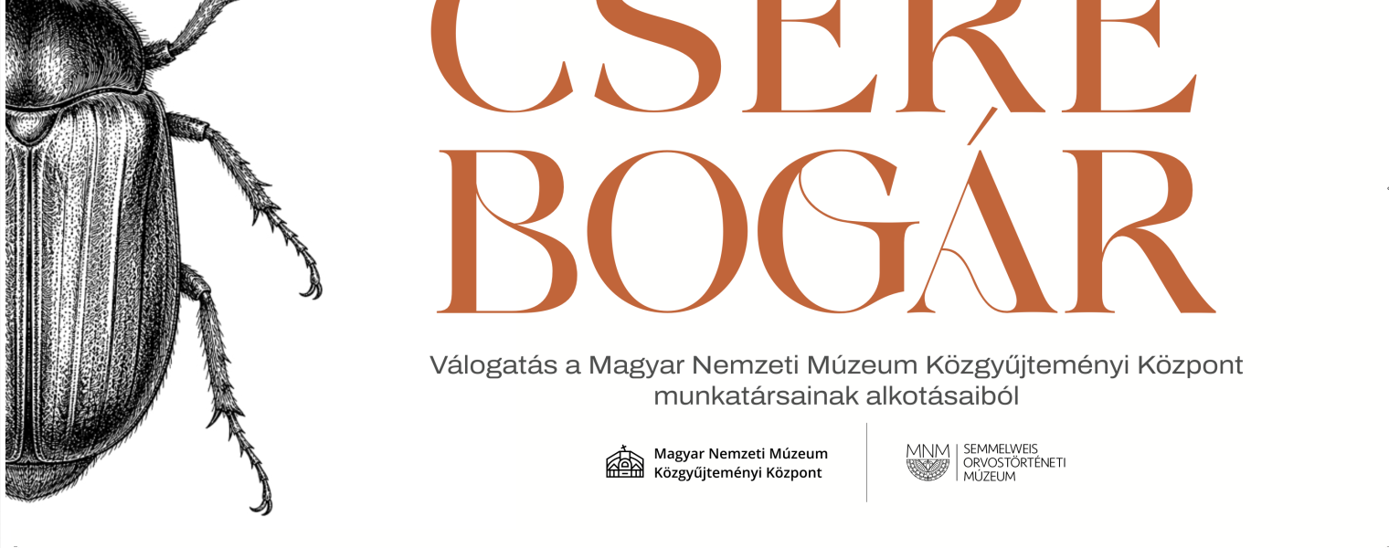 Cserebogár