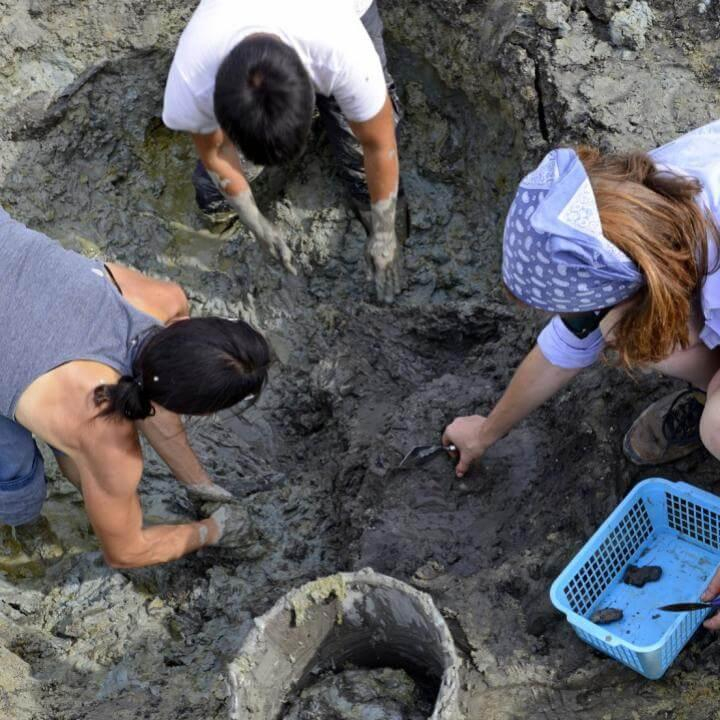 Régészeti Koordináció